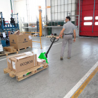 Low lifting hand pallet truck
